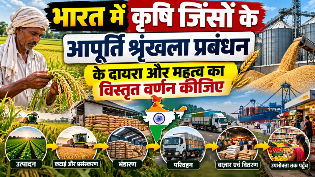 भारत में कृषि जिंसों के आपूर्ति श्रृंखला प्रबंधन के दायरा और महत्व का विस्तृत वर्णन कीजिए।